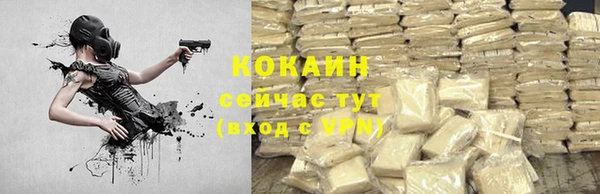 PSILOCYBIN Корсаков