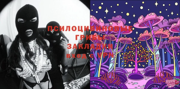 PSILOCYBIN Корсаков