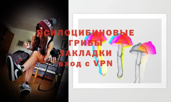 PSILOCYBIN Корсаков