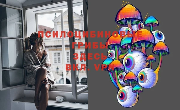 PSILOCYBIN Корсаков