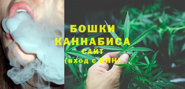 PSILOCYBIN Корсаков