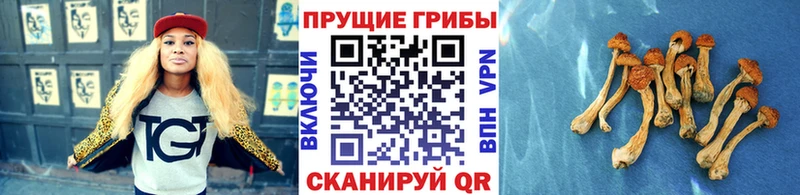 Псилоцибиновые грибы GOLDEN TEACHER  хочу   ссылка на мегу маркетплейс  Темников 